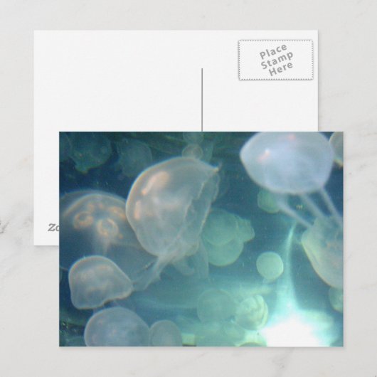 kwal briefkaart (Voorkant / Achterkant)