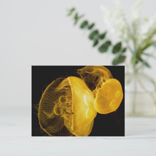 kwal briefkaart (Staand voorkant)