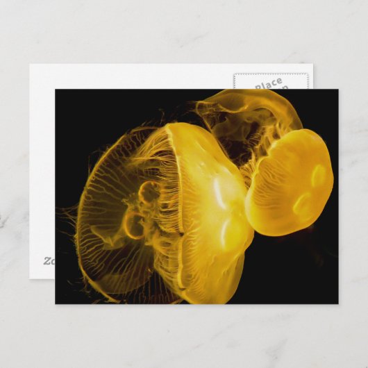 kwal briefkaart (Voorkant / Achterkant)