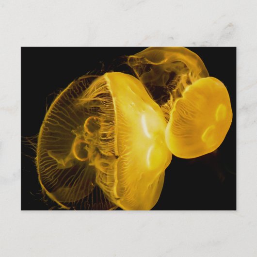 kwal briefkaart (Voorkant)