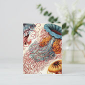  kwal briefkaart (Staand voorkant)