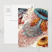  kwal briefkaart (Voorkant / Achterkant)