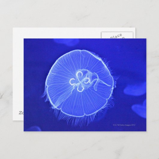 kwal briefkaart (Voorkant / Achterkant)