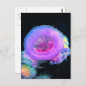 kwal briefkaart (Voorkant / Achterkant)