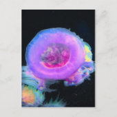 kwal briefkaart (Voorkant)