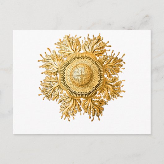 kwal briefkaart (Voorkant)