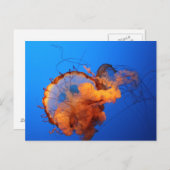 kwal briefkaart (Voorkant / Achterkant)