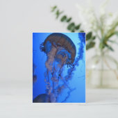 kwal briefkaart (Staand voorkant)