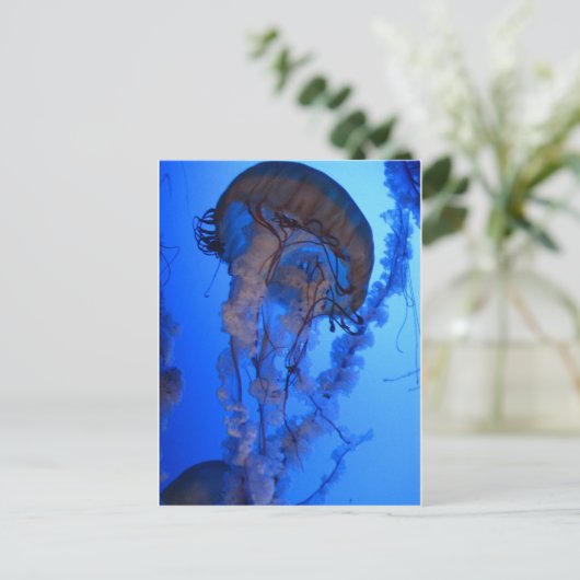 kwal briefkaart (Staand voorkant)