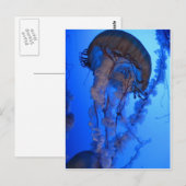 kwal briefkaart (Voorkant / Achterkant)