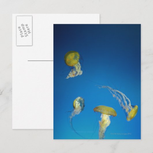 kwal briefkaart (Voorkant / Achterkant)