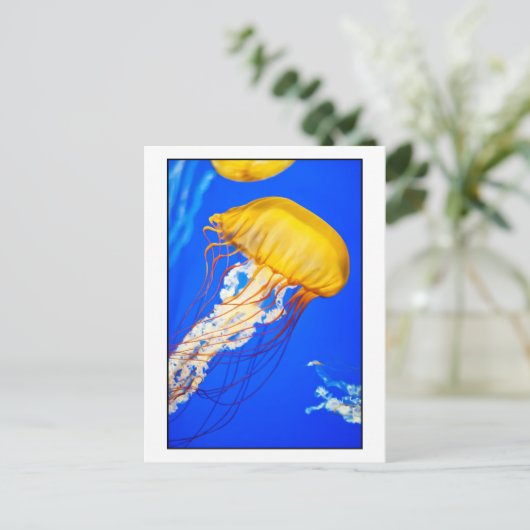 kwal briefkaart (Staand voorkant)