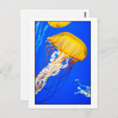 kwal briefkaart (Voorkant / Achterkant)