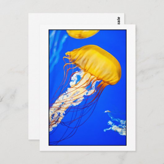 kwal briefkaart (Voorkant / Achterkant)