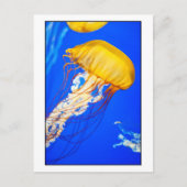 kwal briefkaart (Voorkant)