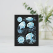 kwal briefkaart (Staand voorkant)