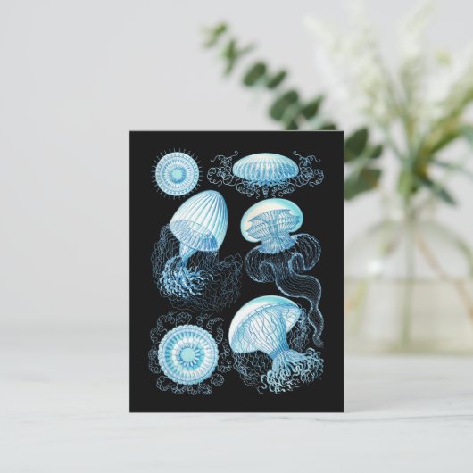 kwal briefkaart (Staand voorkant)