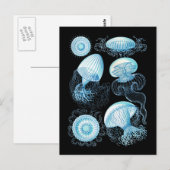 kwal briefkaart (Voorkant / Achterkant)