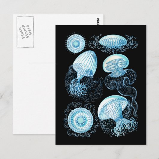 kwal briefkaart (Voorkant / Achterkant)