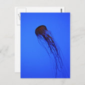 kwal briefkaart (Voorkant / Achterkant)