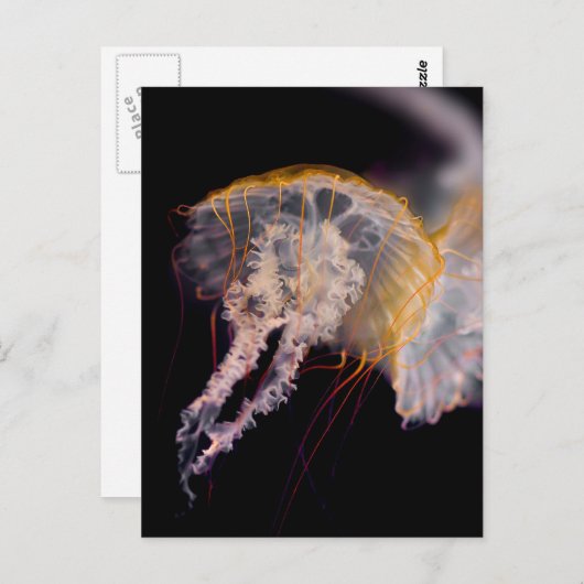 kwal briefkaart (Voorkant / Achterkant)