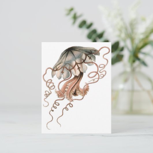 kwal briefkaart (Staand voorkant)