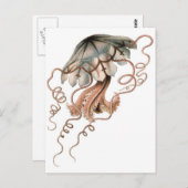 kwal briefkaart (Voorkant / Achterkant)