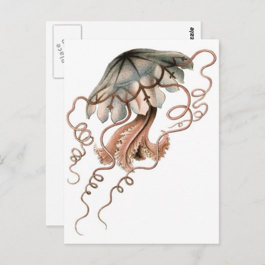 kwal briefkaart (Voorkant / Achterkant)