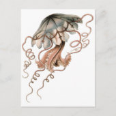 kwal briefkaart (Voorkant)