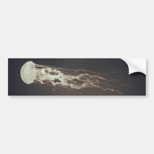 kwal bumpersticker