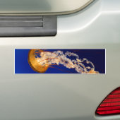 kwal bumpersticker (Op auto)