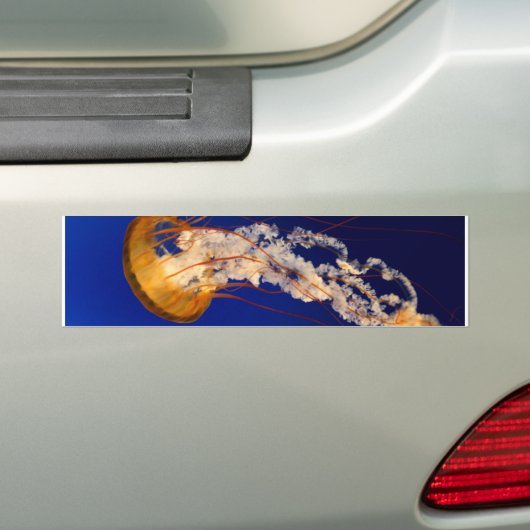 kwal bumpersticker (Op auto)