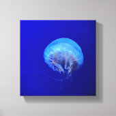 kwal canvas afdruk (Voorkant)