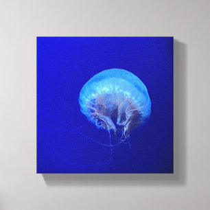 kwal canvas afdruk