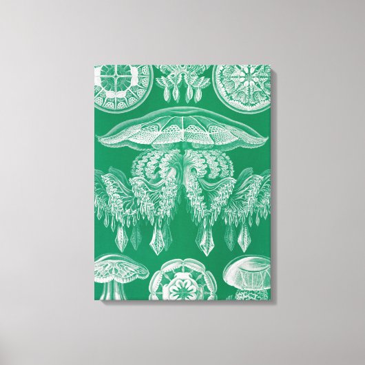 Kwal, Discomedusae door Ernst Haeckel Canvas Afdruk (Voorkant)