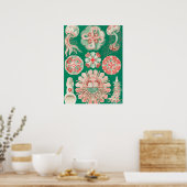 Kwal, Discomedusae door Ernst Haeckel Poster (Keuken)