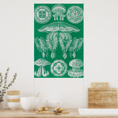 Kwal, Discomedusae door Ernst Haeckel Poster (Keuken)