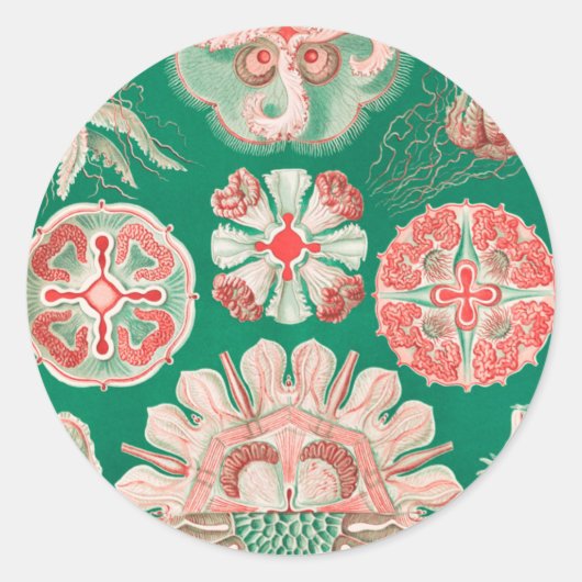 Kwal, Discomedusae door Ernst Haeckel Ronde Sticker (Voorkant)