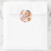 Kwal, Discomedusae door Ernst Haeckel Ronde Sticker (Tas)
