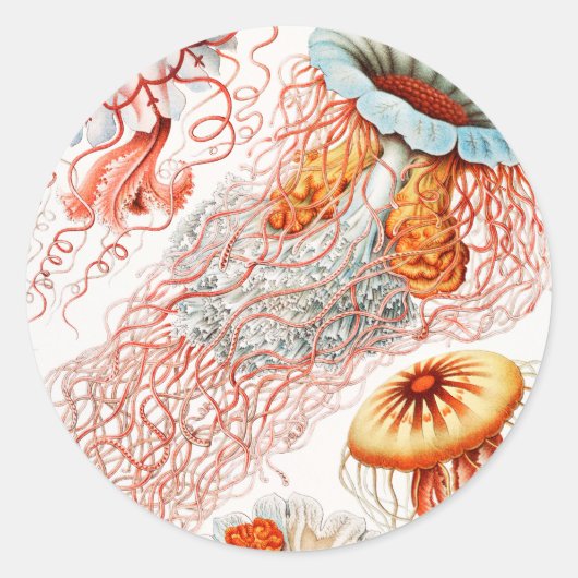 Kwal, Discomedusae door Ernst Haeckel Ronde Sticker (Voorkant)