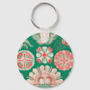 Kwal, Discomedusae door Ernst Haeckel Sleutelhanger