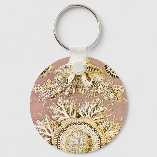 Kwal, Discomedusae door Ernst Haeckel Sleutelhanger (Voorkant)