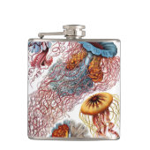 Kwal door Ernst Haeckel, Discomedusae Heupfles (Voorkant)