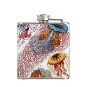 Kwal door Ernst Haeckel, Discomedusae Heupfles (Achterkant)