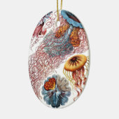 Kwal door Ernst Haeckel, Discomedusae Keramisch Ornament (Links)