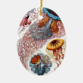 Kwal door Ernst Haeckel, Discomedusae Keramisch Ornament (Voorkant)