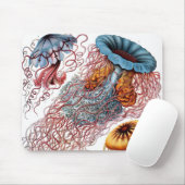 Kwal door Ernst Haeckel, Discomedusae Muismat (Met muis)