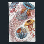 Kwal door Ernst Haeckel, Discomedusae Theedoek<br><div class="desc">Antieke illustratie van het mariene leven biologie ontwerp door Ernst Haeckel. Een verscheidenheid aan kleurrijke kwal dieren zwemt in de wateren van de zee. Kwallen zijn vrijzwemmende waterdieren met een paraplu-vormig lichaam en lange,  hangende tentakels. Ze kunnen worden gevonden in alle oceanen en sommige in zoetwatermeren en -rivieren.</div>