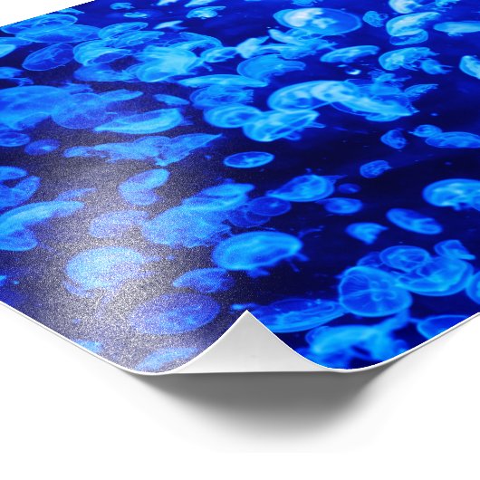 kwal foto afdruk (Hoek)