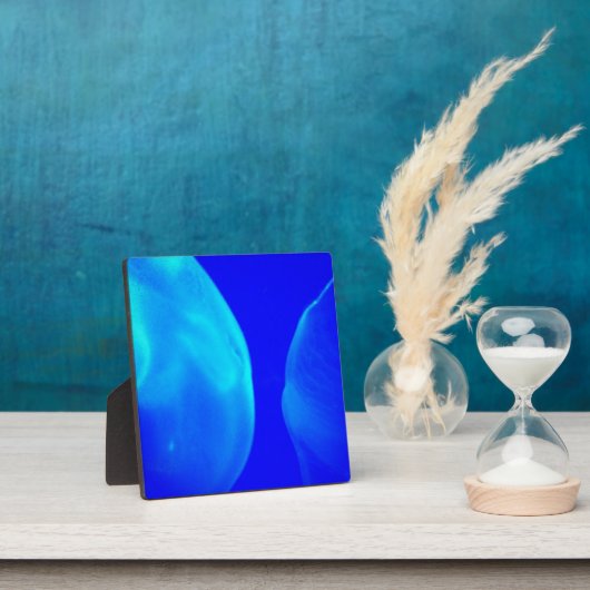 kwal fotoplaat (Insitu)